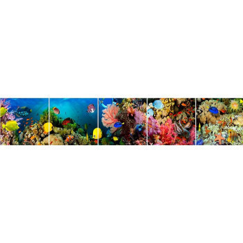 Pécs bútor Üveg panel 60/300 Aquarium-1 5-Elem