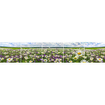 Pécs bútor Üveg panel 60/300 Flowers-3 5-Elem